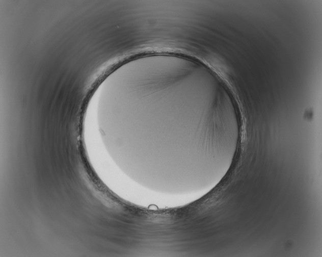 X0000115540438200912181533