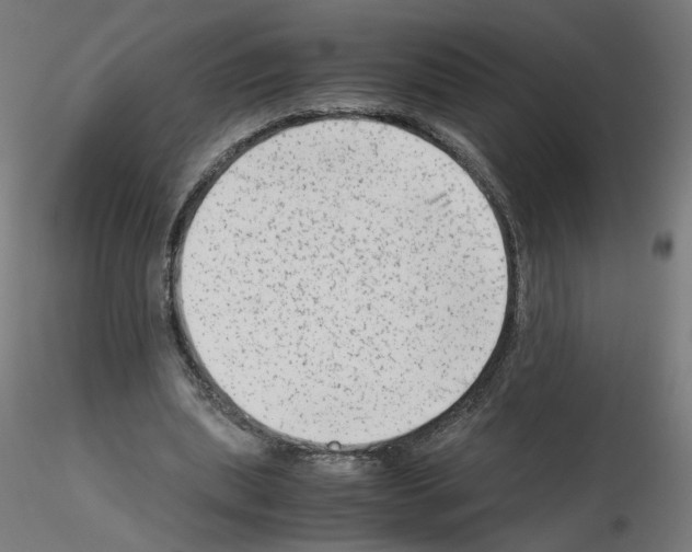 X0000115540439200912181533