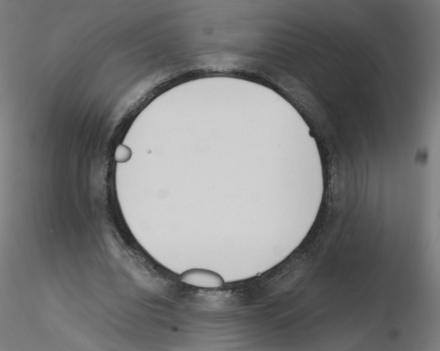 X0000115540440200912181533