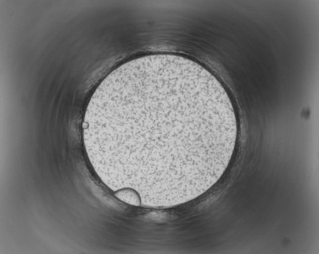 X0000115540441200912181533