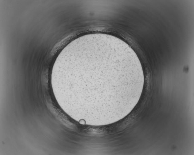 X0000115540442200912181533