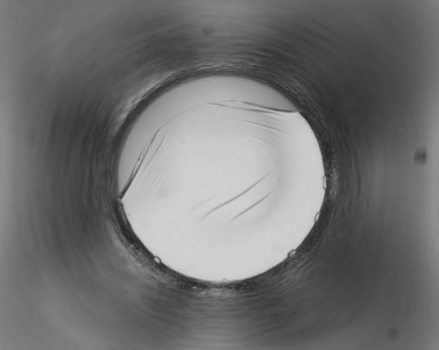 X0000115540444200912181533