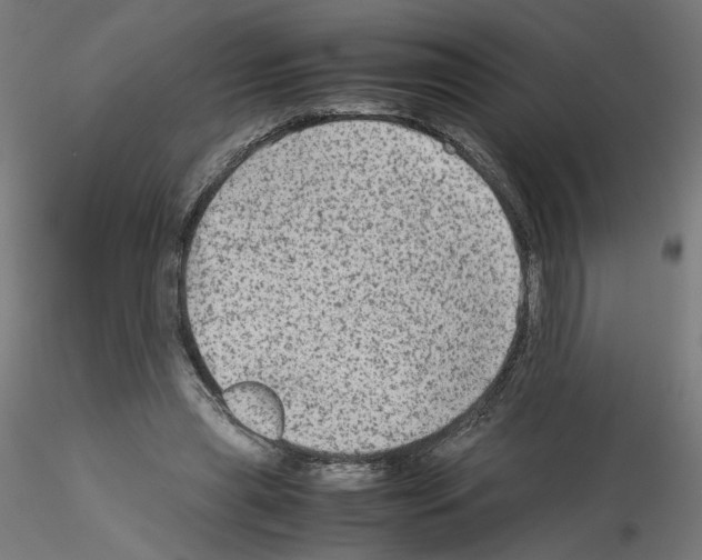 X0000115540445200912181533