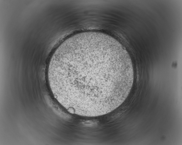 X0000115540447200912181533