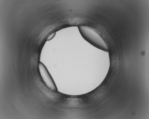 X0000115540448200912181533