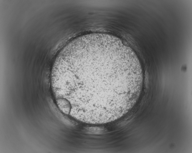 X0000115540449200912181533