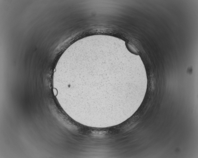 X0000115540450200912181533