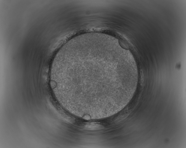 X0000115540451200912181533