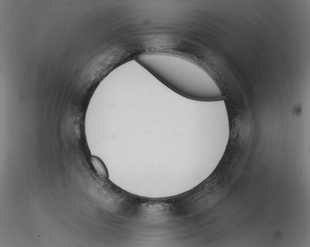 X0000115540452200912181533