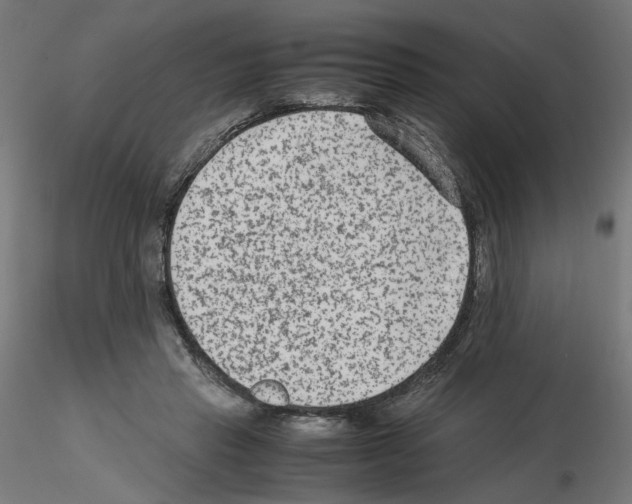 X0000115540453200912181533