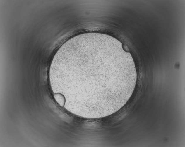 X0000115540454200912181533