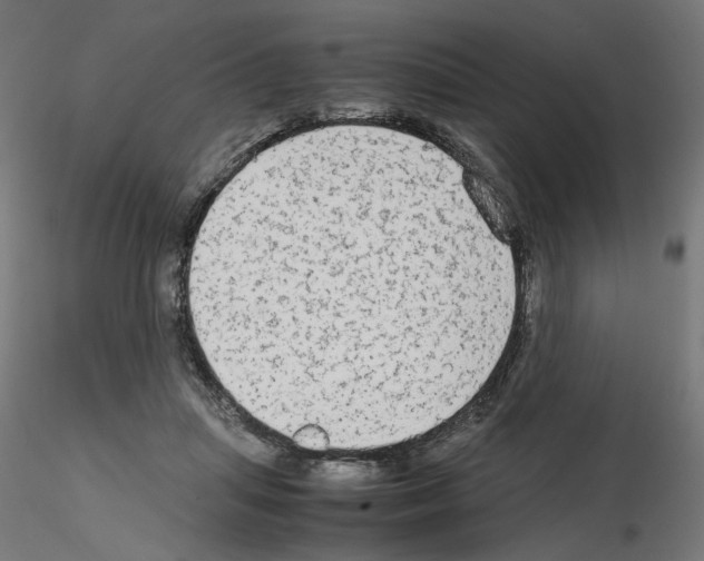 X0000115540455200912181533