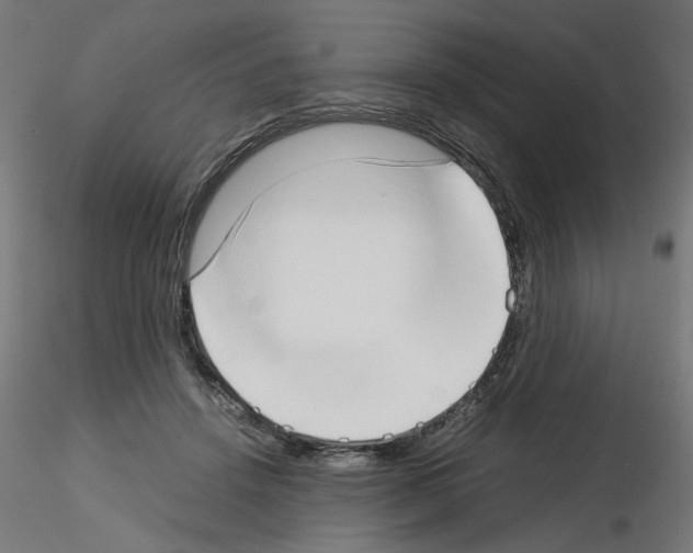 X0000115540456200912181533