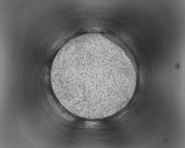 X0000115540457200912181533