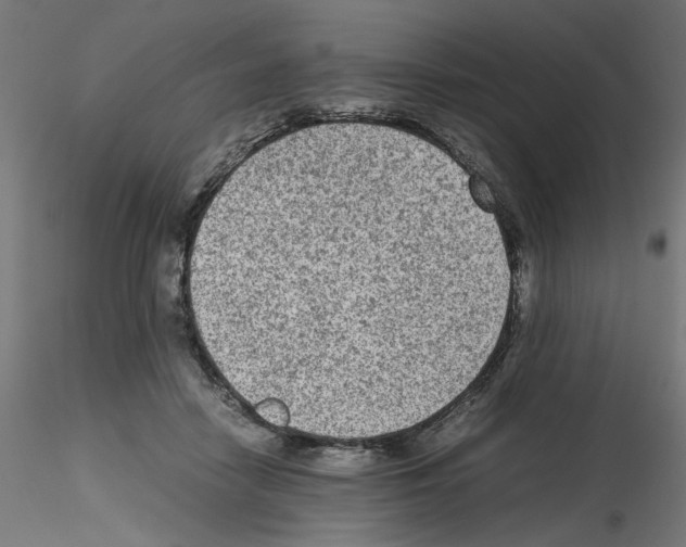 X0000115540458200912181533
