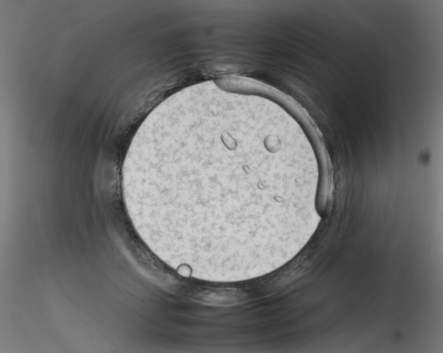 X0000115540459200912181533