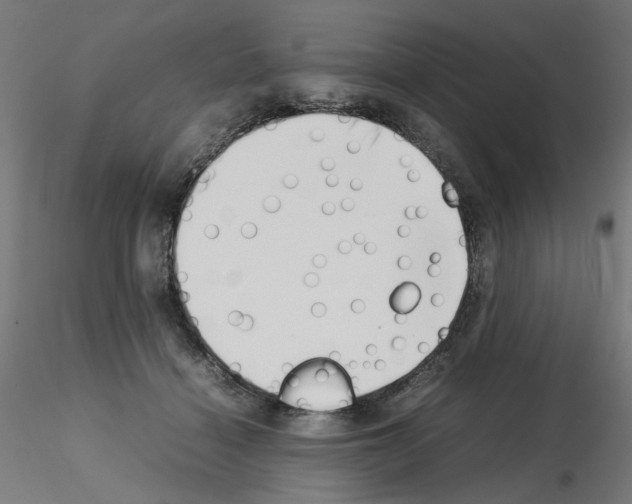 X0000115540460200912181533
