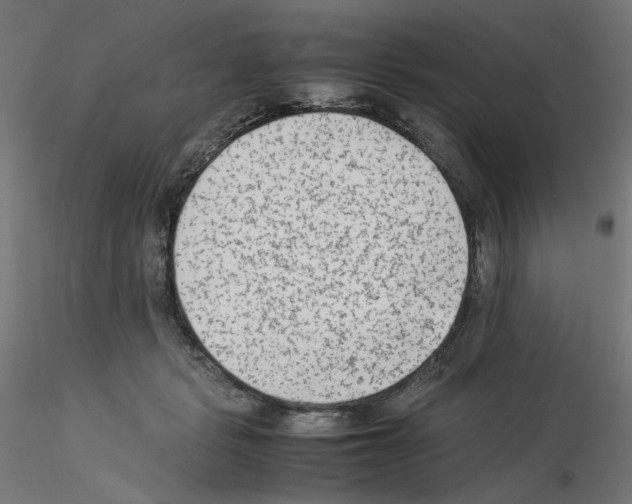 X0000115540461200912181533