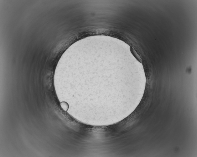 X0000115540462200912181533
