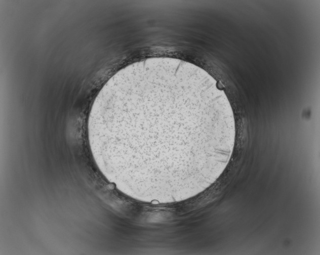 X0000115540463200912181533