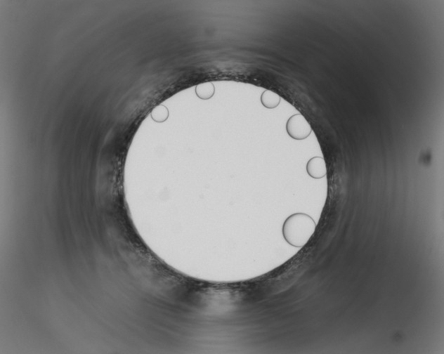 X0000115540464200912181533