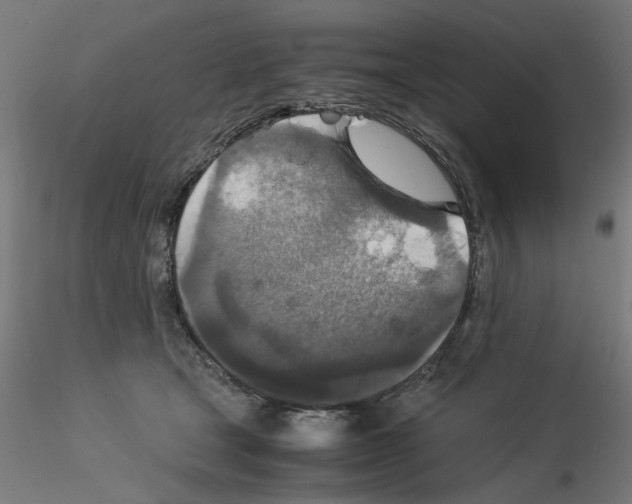 X0000115540465200912181533