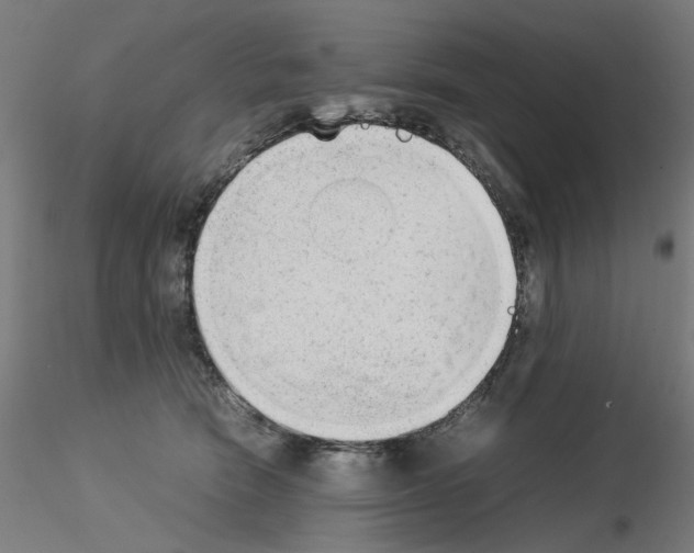 X0000115540466200912181533