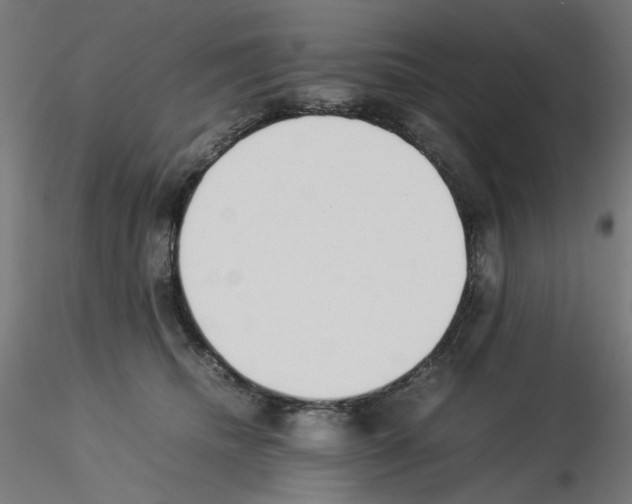 X0000115540468200912181533
