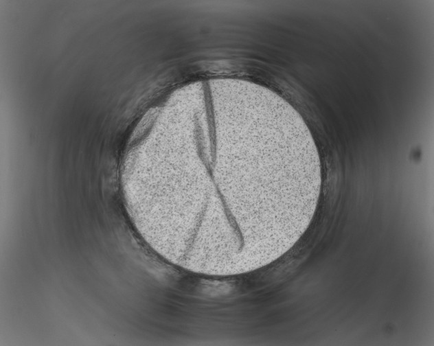 X0000115540469200912181533