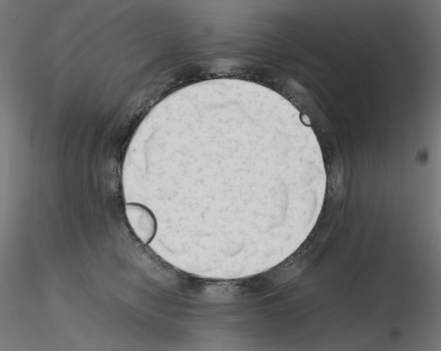 X0000115540470200912181533
