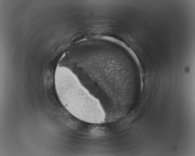 X0000115540471200912181533