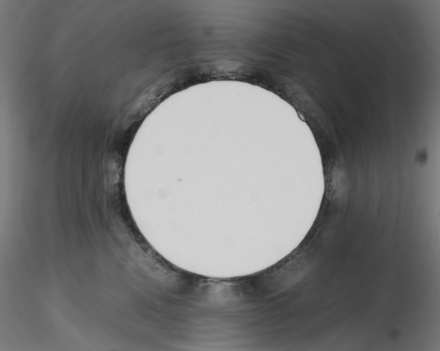 X0000115540472200912181533