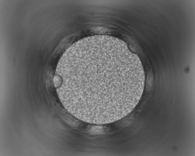 X0000115540473200912181533