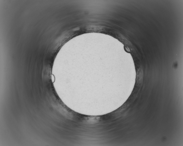 X0000115540474200912181533