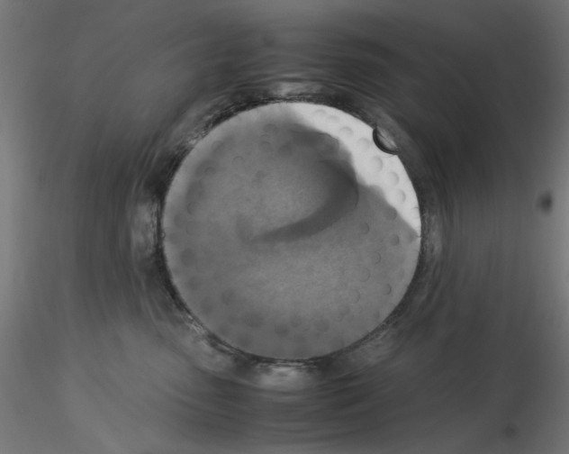 X0000115540475200912181533