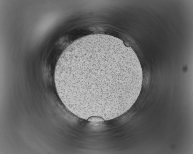 X0000115540477200912181533