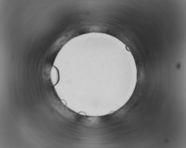 X0000115540478200912181533