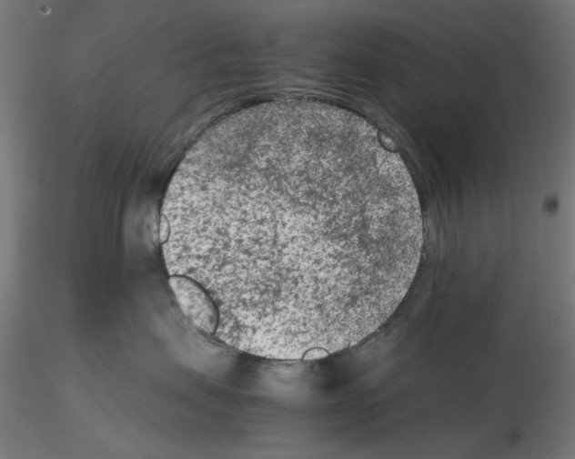 X0000115540479200912181533