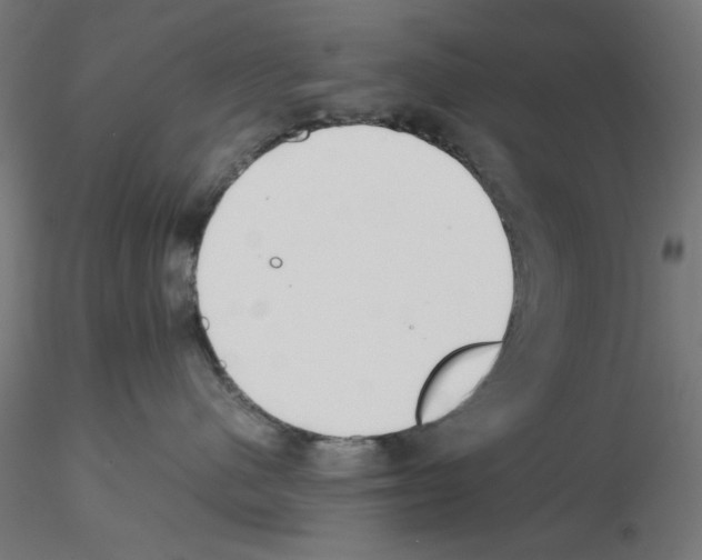X0000115540480200912181533