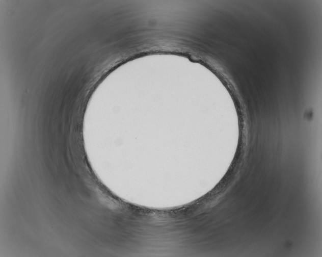 X0000115540481200912181533