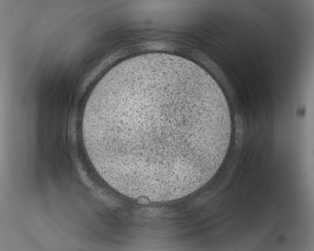 X0000115540482200912181533