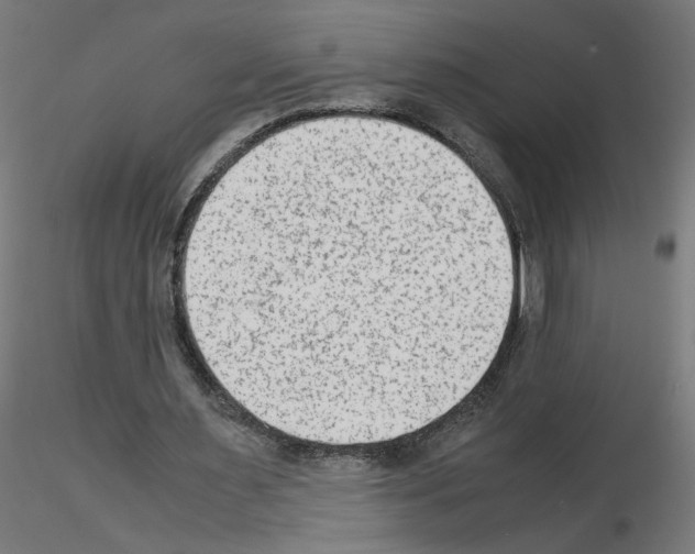 X0000115540483200912181533
