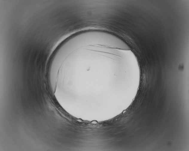 X0000115540484200912181533