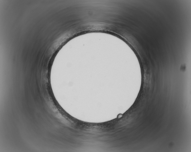 X0000115540485200912181533