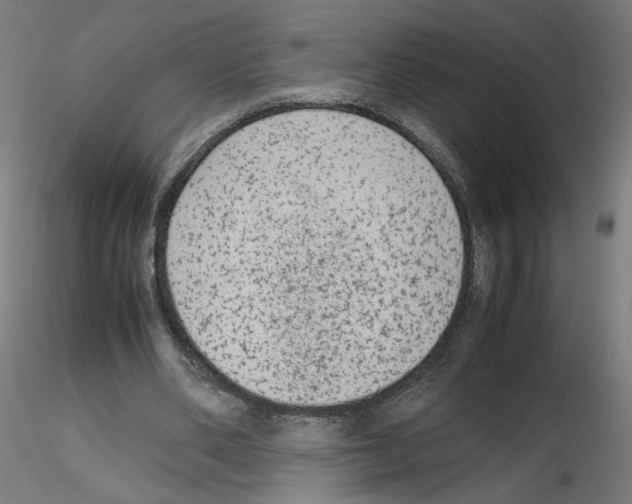 X0000115540486200912181532