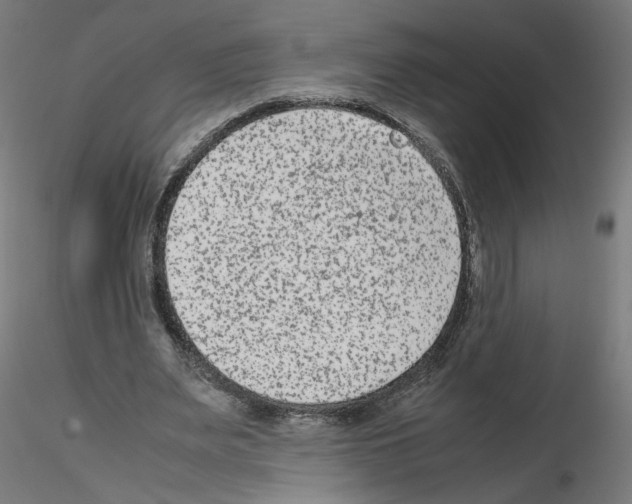 X0000115540487200912181532