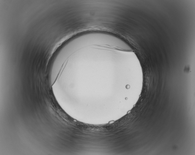 X0000115540488200912181532