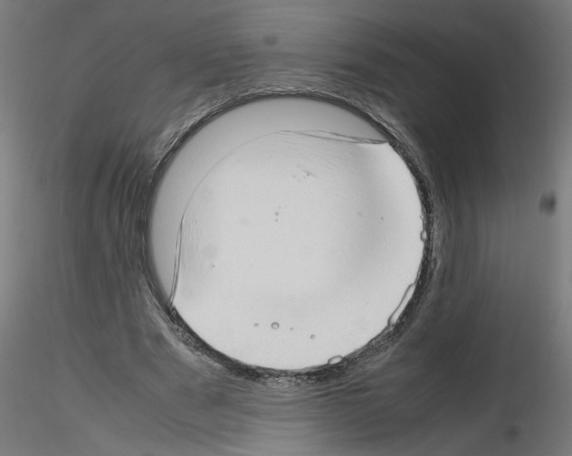 X0000115540489200912181532