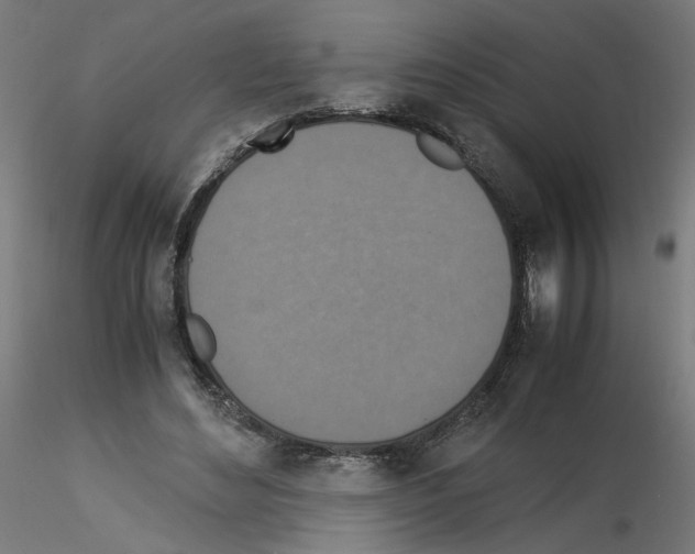 X0000115540492200912181532