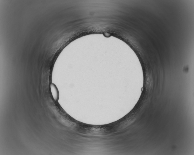 X0000115540493200912181532